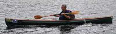 canoes are ideal places for bees to build hives